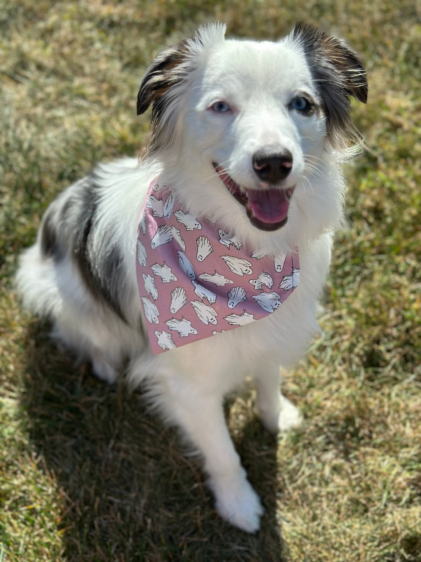 Ghost - Glow in the Dark - Dog Bandanas