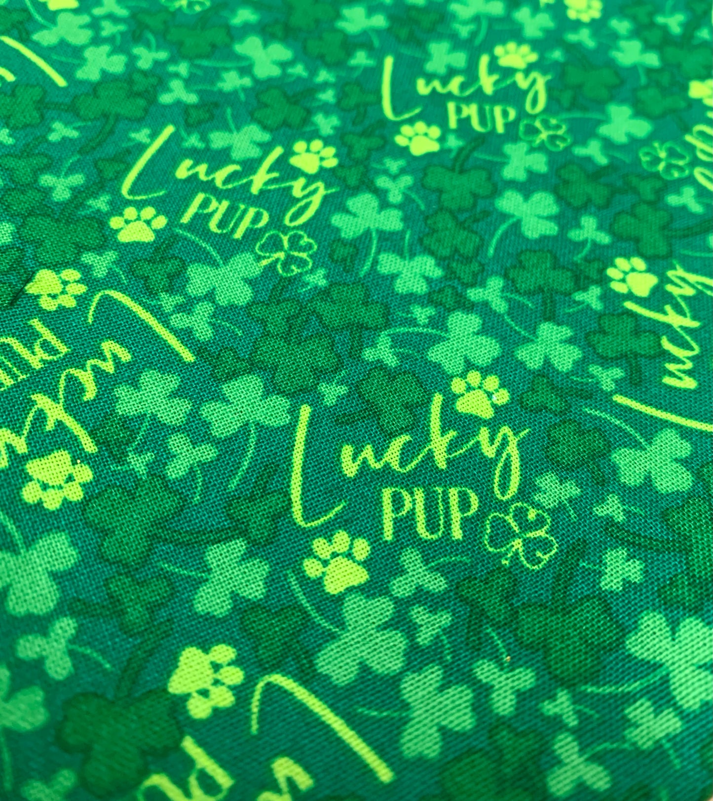 Lucky Pup - Dog Bandana