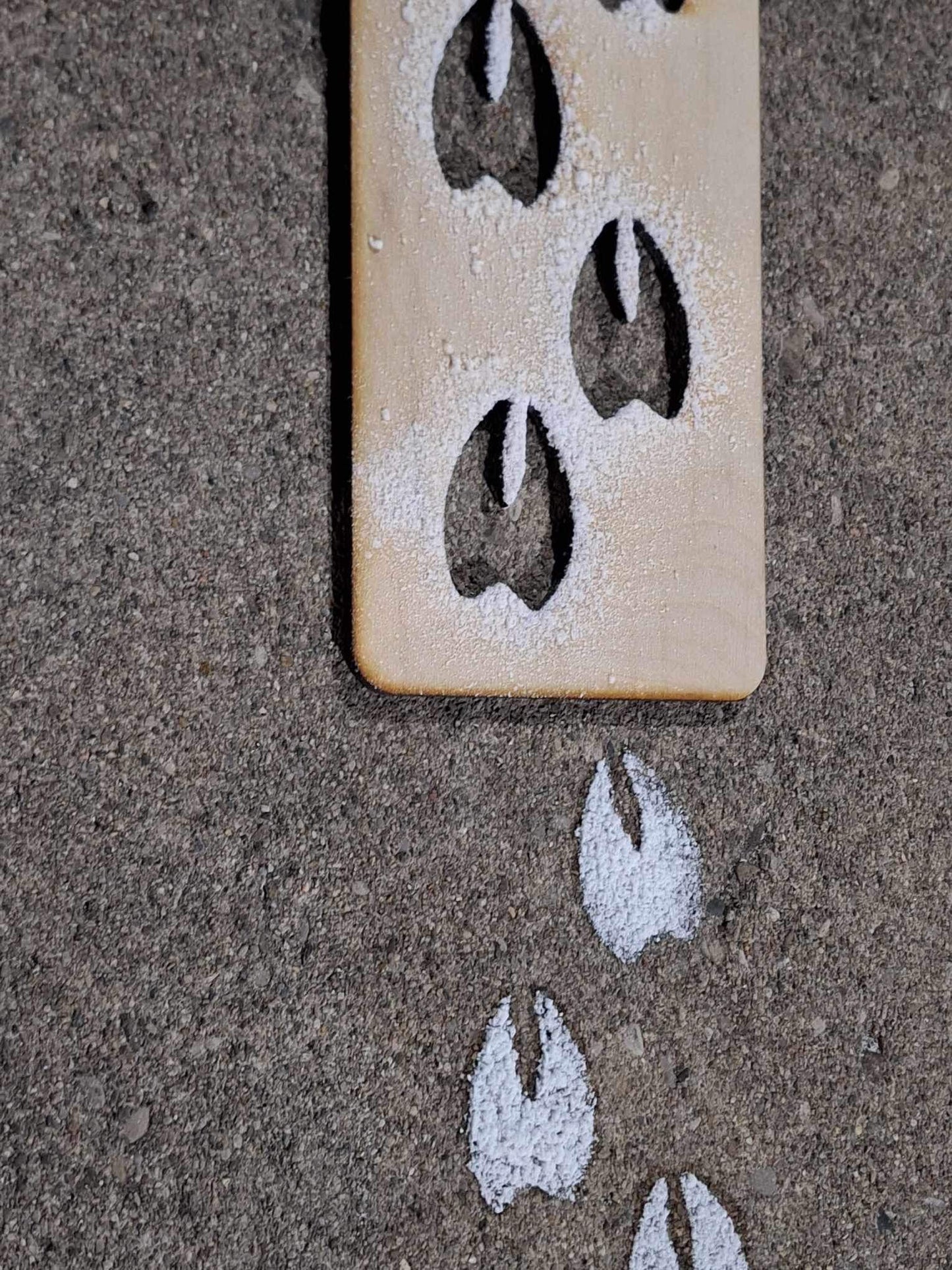 Reindeer Footprint Stencil